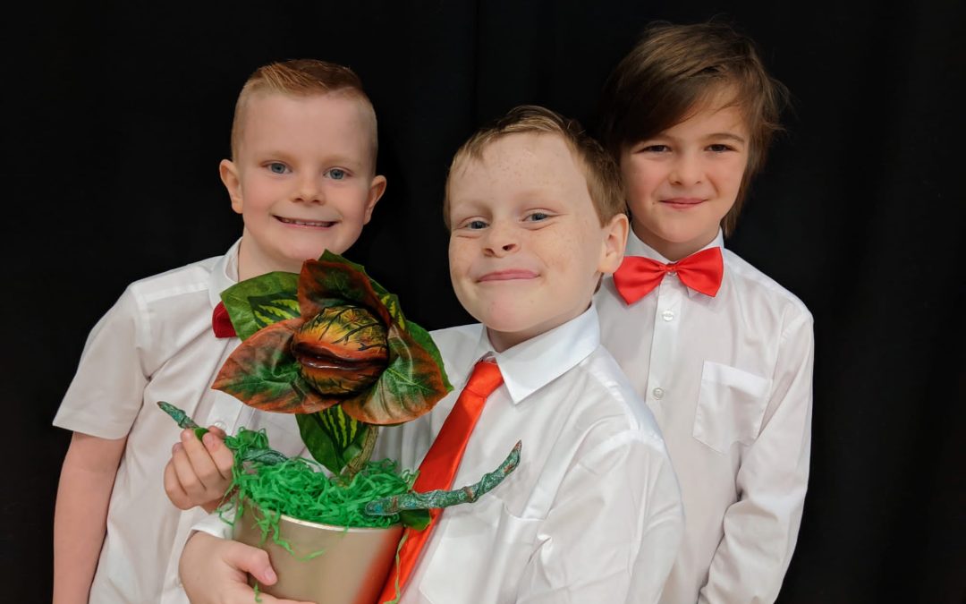Exciting Musical Theatre on Saturdays – 3 hours of fun